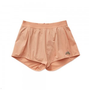 Orange Tracksmith Session Speed Women's Shorts | QGORA-1907