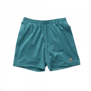 Turquoise Tracksmith Session Men's Shorts | KNTWO-8134