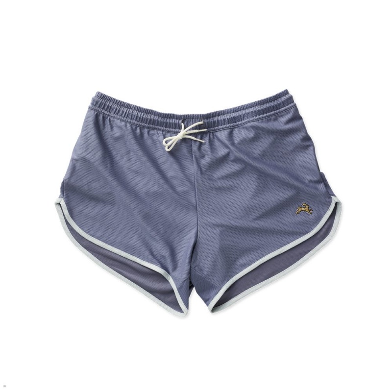 Blue Grey Tracksmith Van Cortlandt Men\'s Shorts | MBEZJ-7139