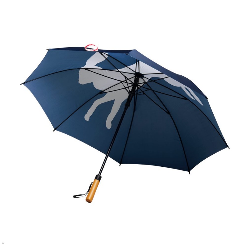 Blue Tracksmith Umbrella Other Accessories | PCXBM-8239