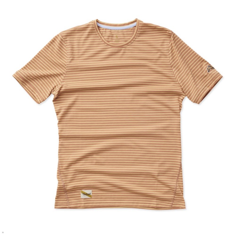 Brown Tracksmith Horizon Men\'s Tee | ENWQA-8609