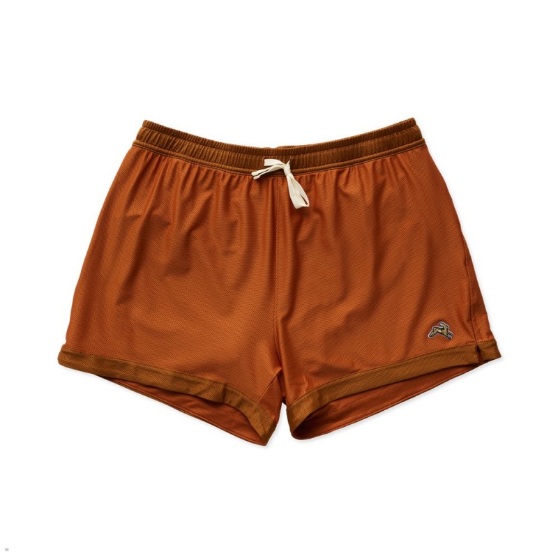 Brown Tracksmith Van Cortlandt Grand Men\'s Shorts | IQOYX-1630