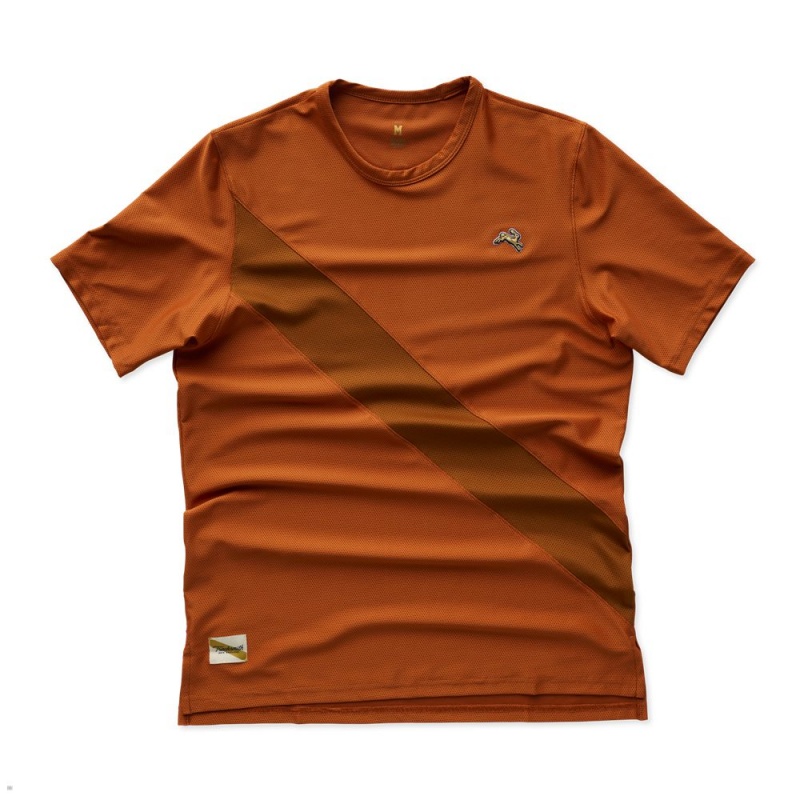 Brown Tracksmith Van Cortlandt Men\'s Tee | IXAPY-6189