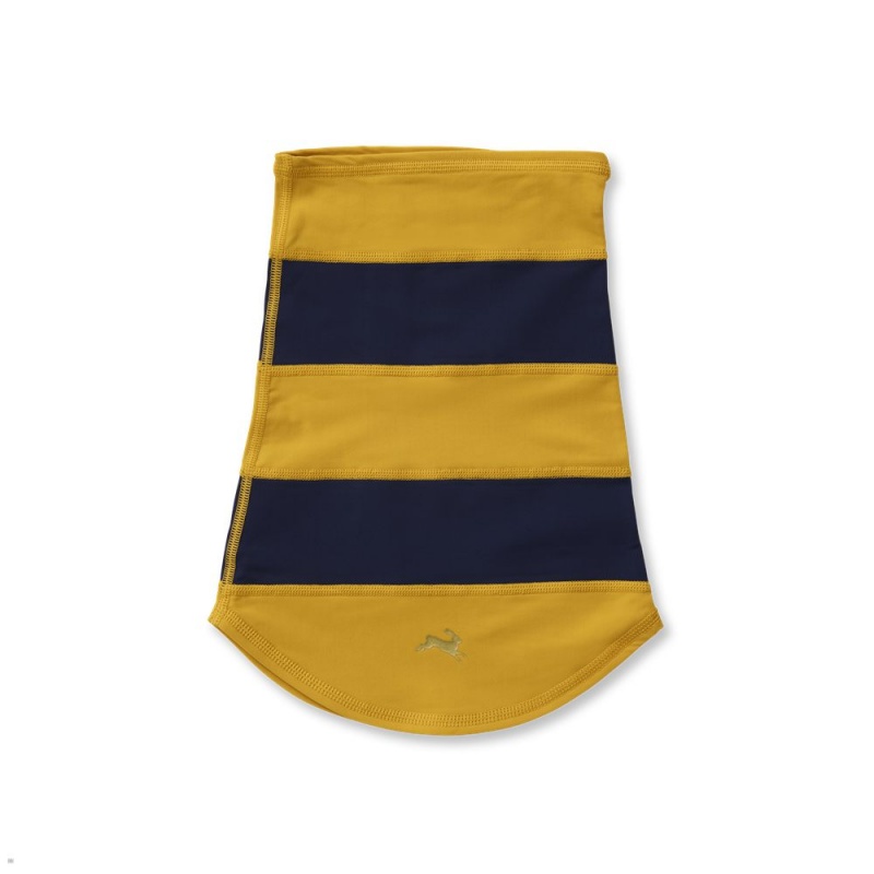 Gold Navy Tracksmith Inverno Neck Warmer | WQVPJ-9280