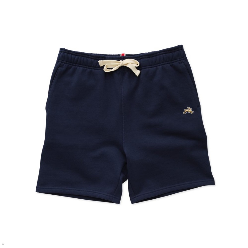 Navy Tracksmith Trackhouse Men\'s Shorts | SHGUP-9456