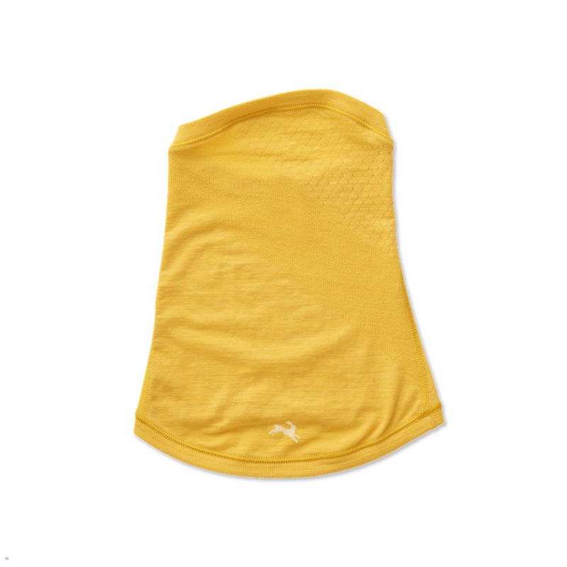 Yellow Tracksmith Brighton Neck Warmer | LFVUO-4621