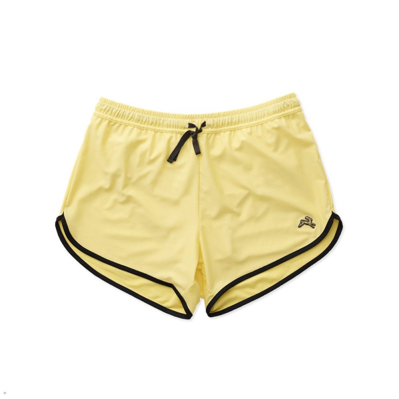 Yellow Tracksmith Van Cortlandt Men\'s Shorts | SQUIP-9013